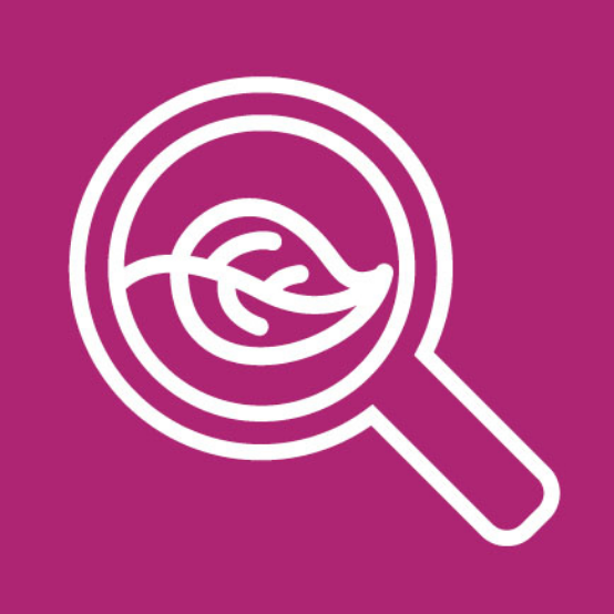 Sustainability Research