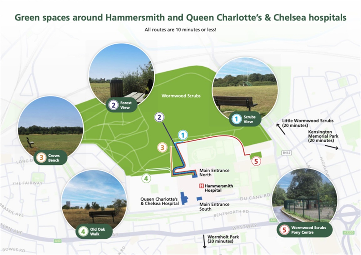Green spaces around Hammersmith and Queen Charlotte’s & Chelsea hospitals