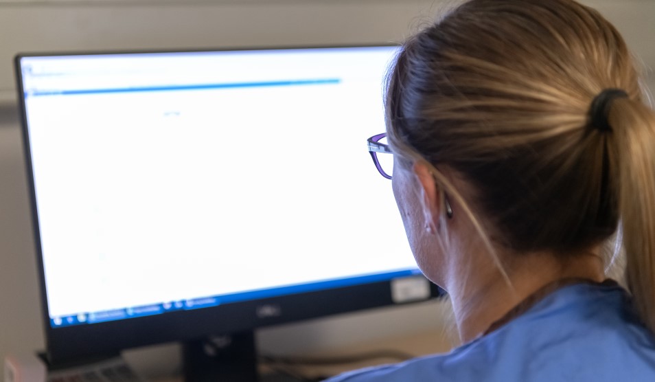 Doctor looking at a screen