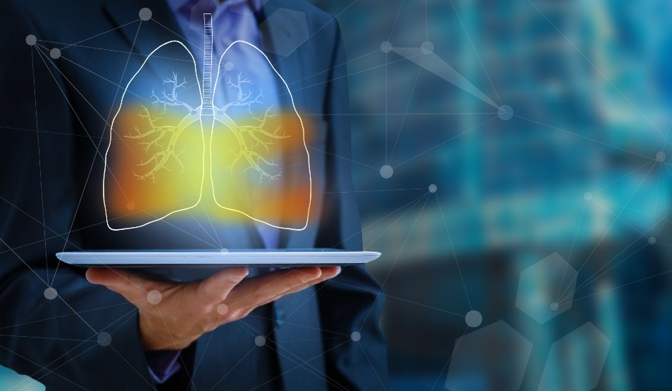 Digital image of lungs