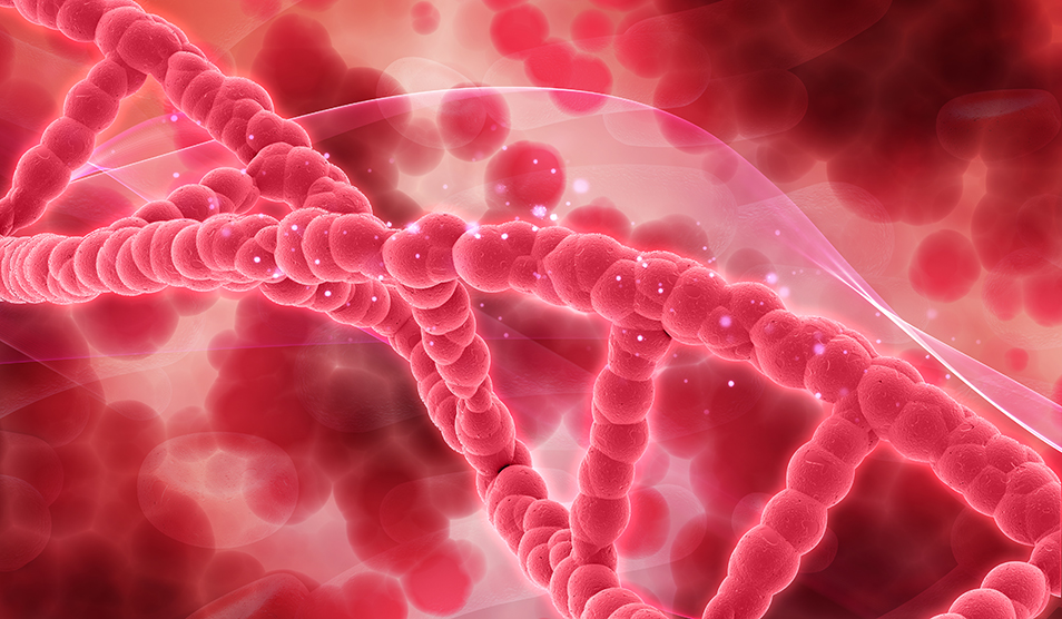 World-first gene-editing treatment for blood disorders including sickle cell disease approved for use in the NHS