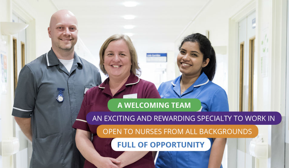 Portrait of two female nurses and one male nurse 