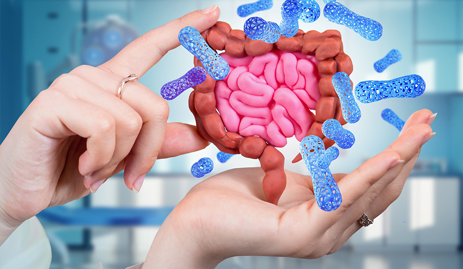 Close up photograph of a woman's hands holding a cartoon gut microbiome.