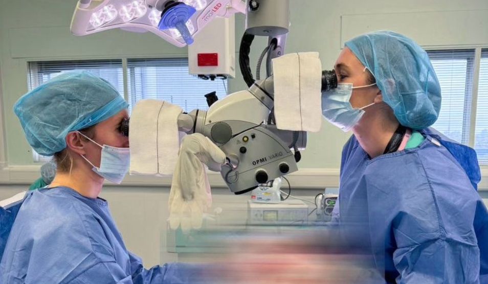 Two breast reconstructive plastic surgeons mid operation. They are dressed in theatre scrubs.