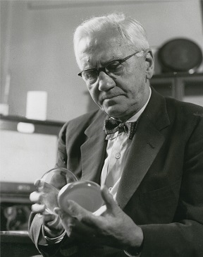 Alexander Fleming with a culture plate