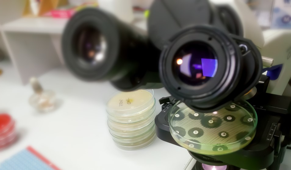 AMR research web image