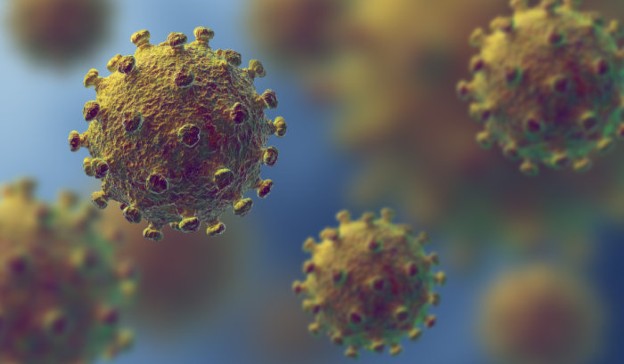 Coronavirus image from Imperial College London