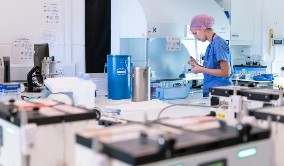 embryologist working