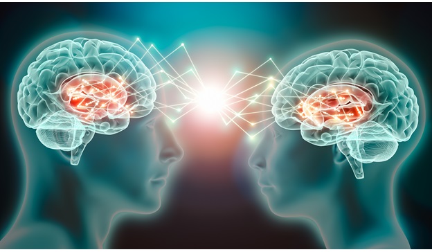 Male and female brains 