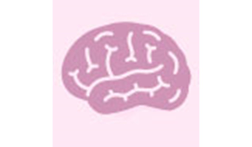 Scan graphic Scan graphic