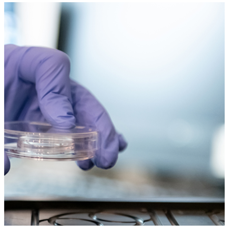 Petri dish2