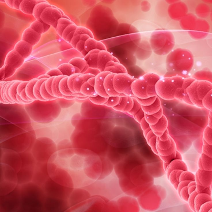 Red blood cells and DNA