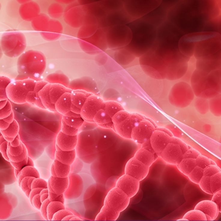 Red blood cells and DNA