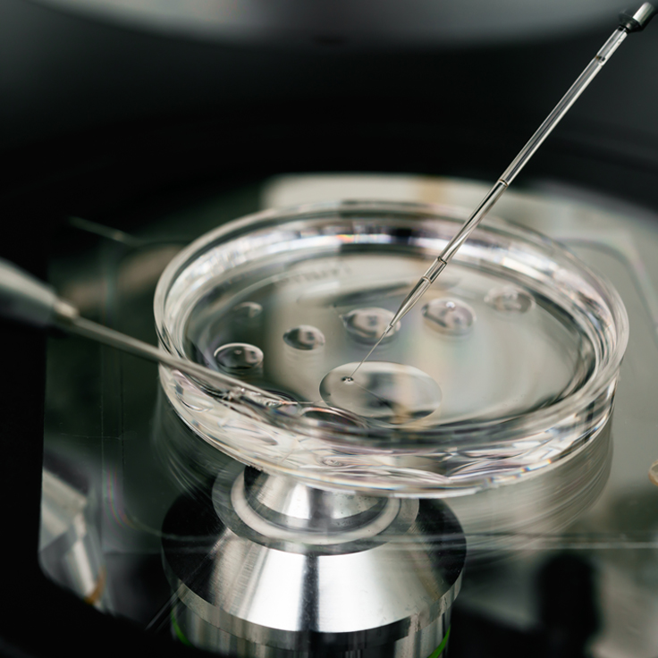 Petri dish