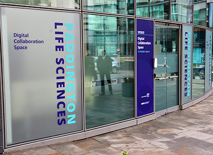 Digital Collaboration Space