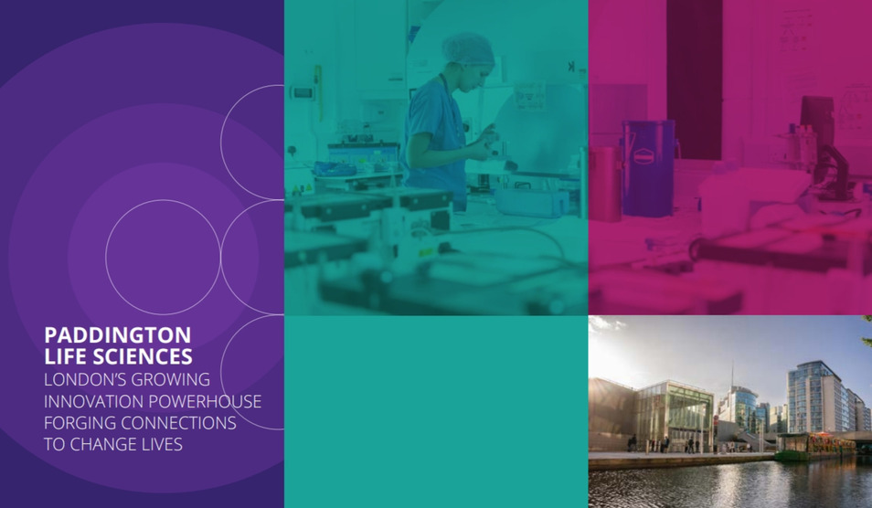 Paddington brochure front cover