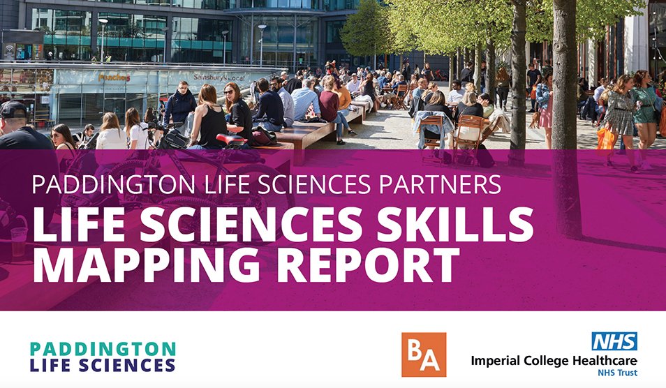 PLS skills mapping report graphic