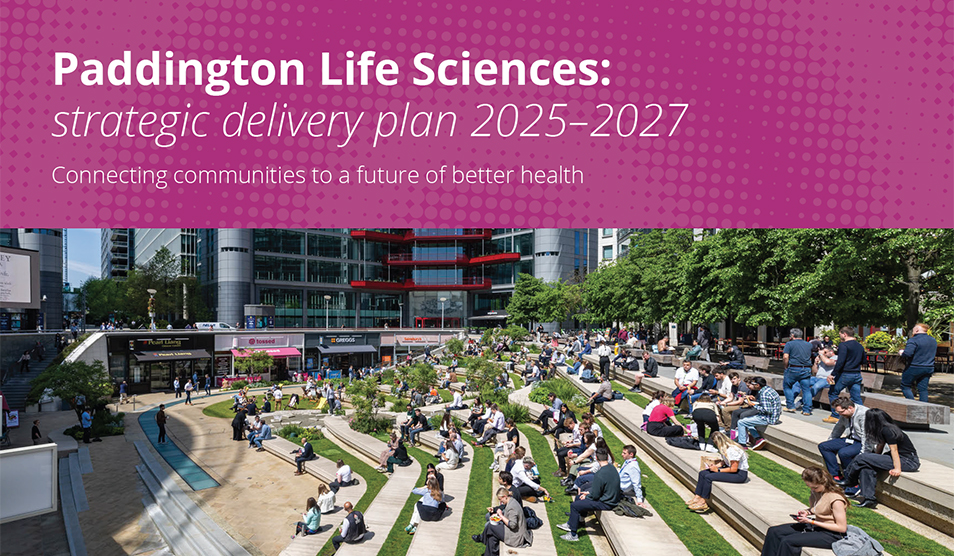 PLS strategic delivery plan graphic