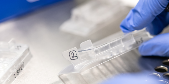 Photo of a testing sample Sample image