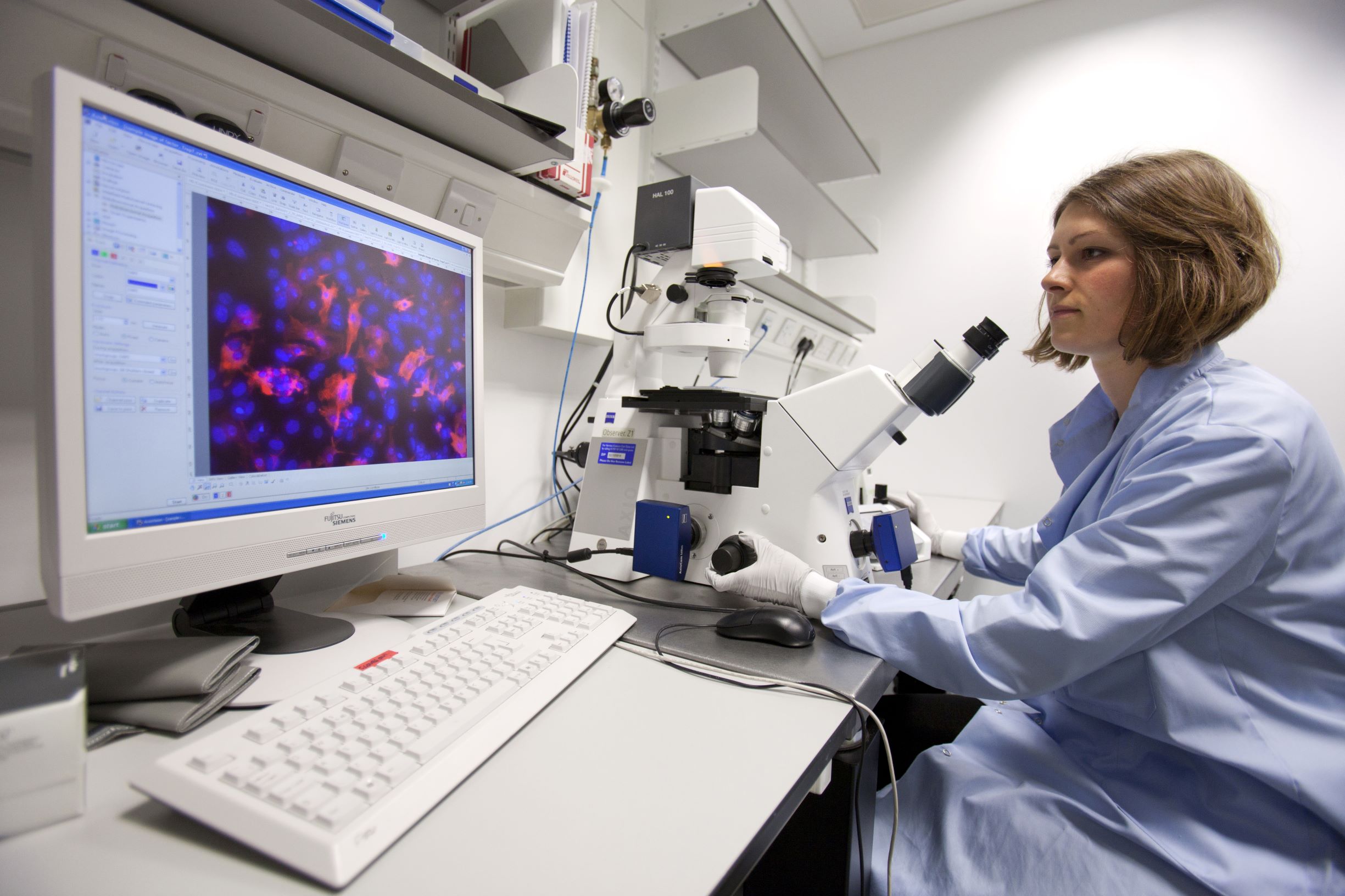 A researcher at the British Heart Foundation (BHF) Centre of Research Excellence at Imperial College London 