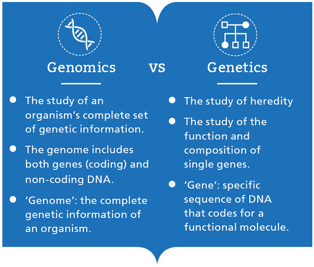 Genomics vs genetics diagram