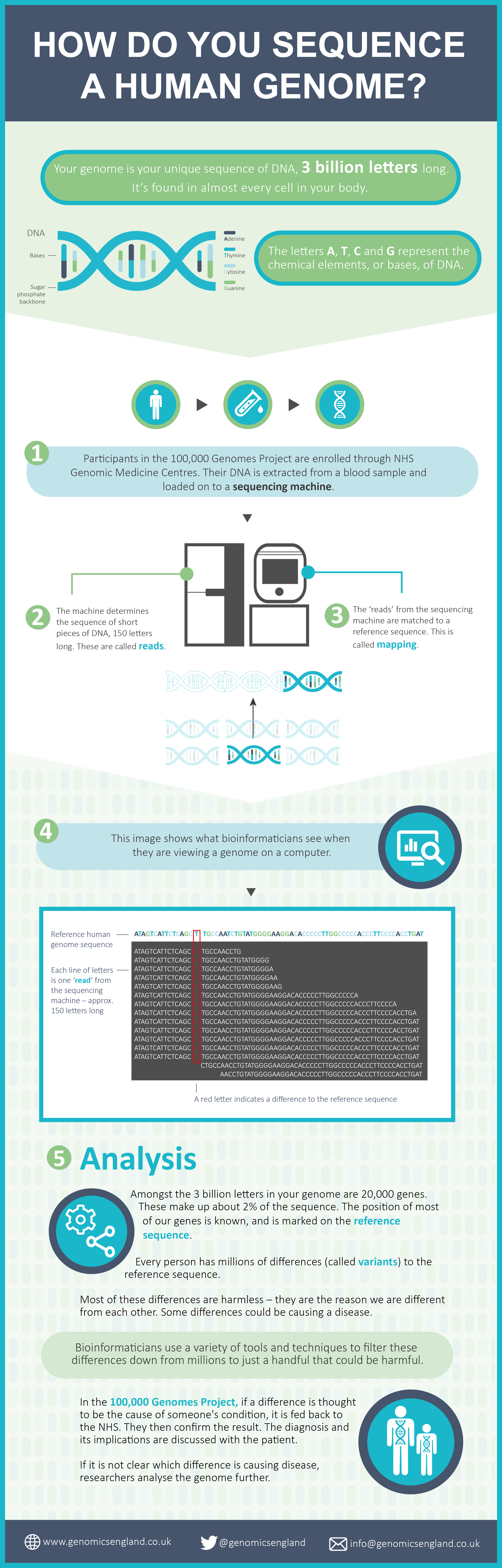 How do you sequence infographic