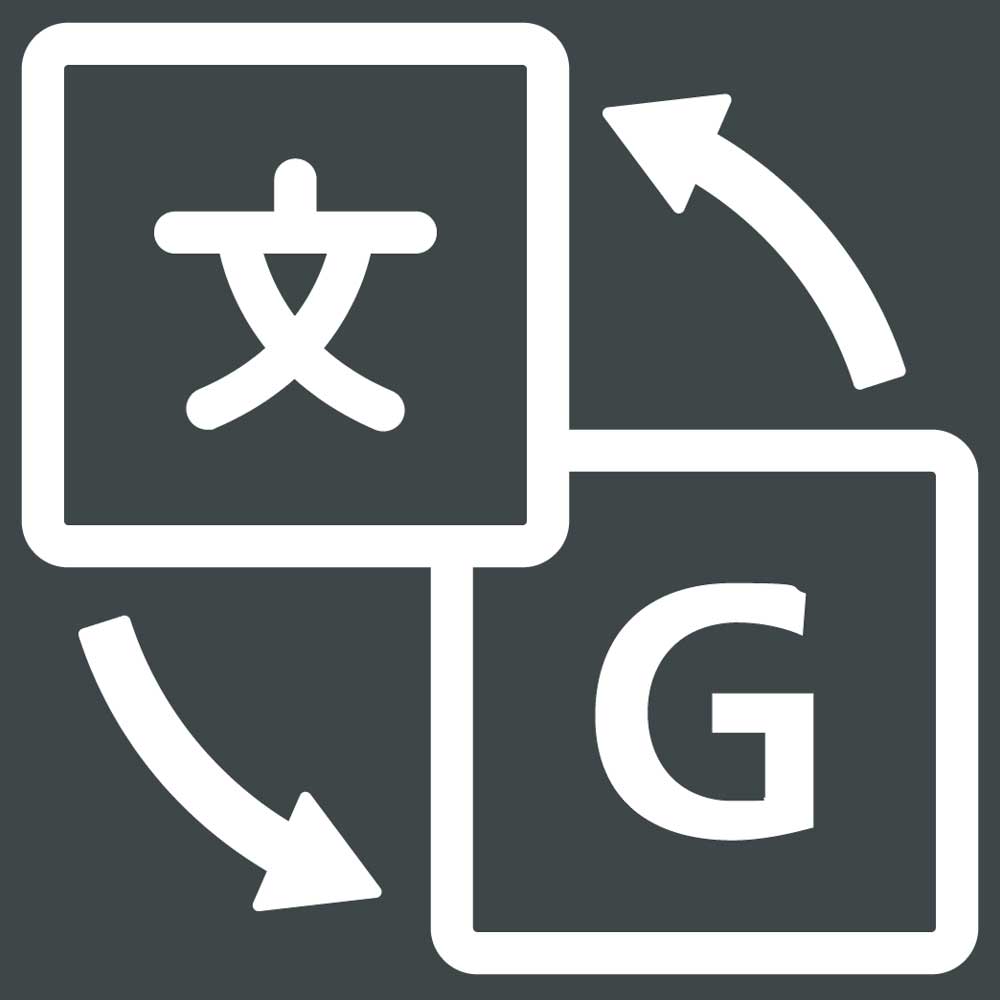 Google translate icon