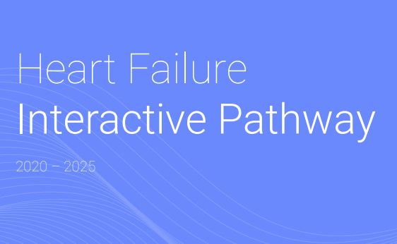Heart Failure Interactive pathway graphic